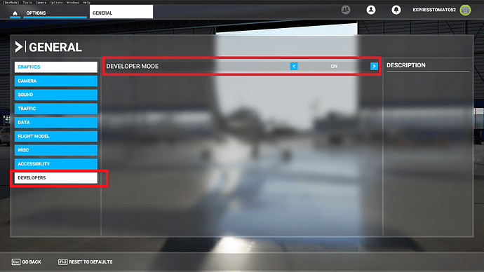 developer mode