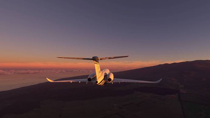 Microsoft Flight Simulator 11_17_2020 9_41_23 PM