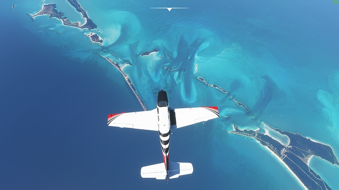 Microsoft Flight Simulator 17_08_2020 14_51_09