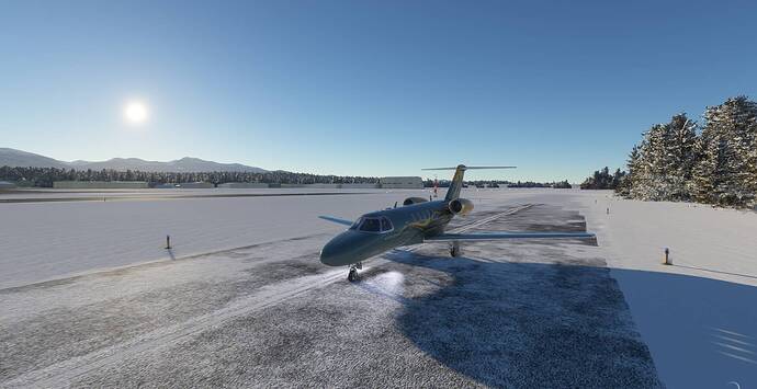 Microsoft Flight Simulator 3_1_2021 8_52_37 AM