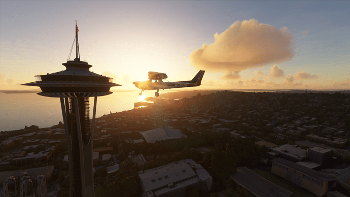 Microsoft Flight Simulator 8_23_2020 7_49_03 PM