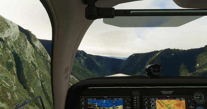 Microsoft Flight Simulator 4_21_2021 8_42_45 AM