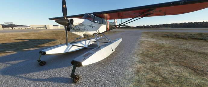 Microsoft Flight Simulator 2_26_2021 12_13_10 PM