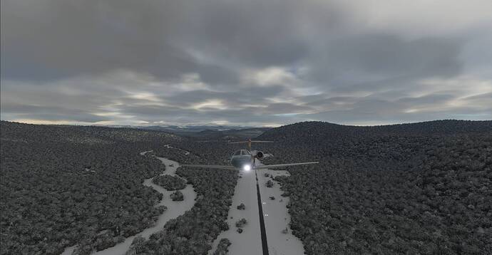 Microsoft Flight Simulator 3_1_2021 1_19_01 PM