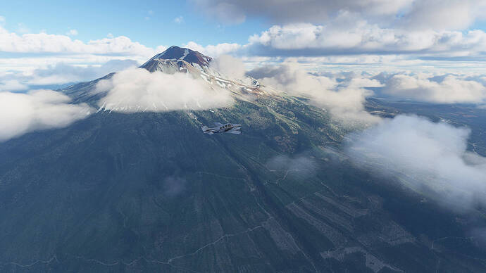 Shasta1