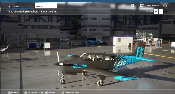 Microsoft Flight Simulator 12_22_2020 10_51_21 AM
