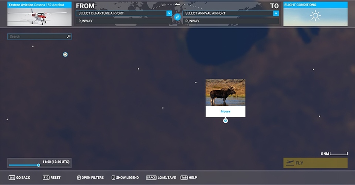 moose1