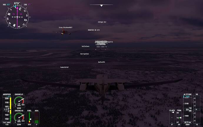 Microsoft Flight Simulator 14_02_2021 21_56_58