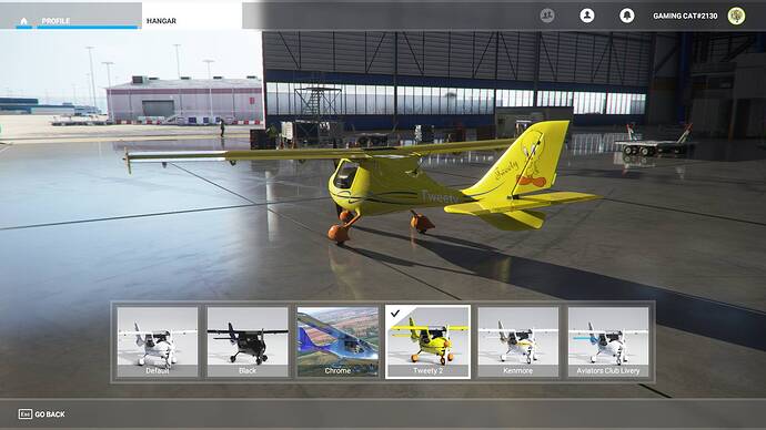 Microsoft Flight Simulator 06.04.2021 19_09_41