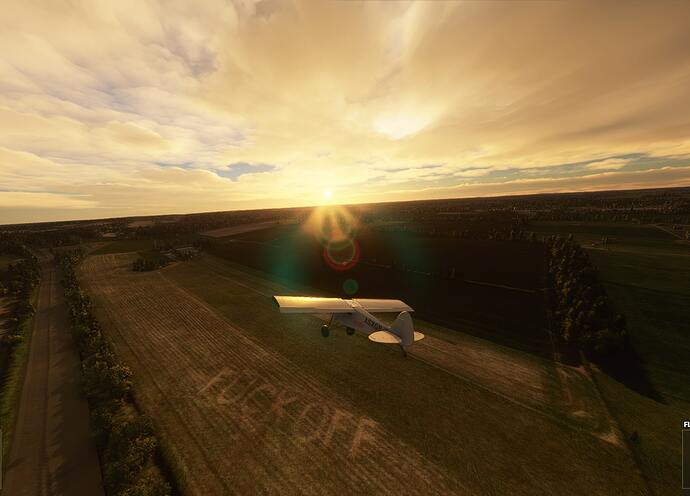 Microsoft Flight Simulator 21_02_2021 16_59_17 (2)