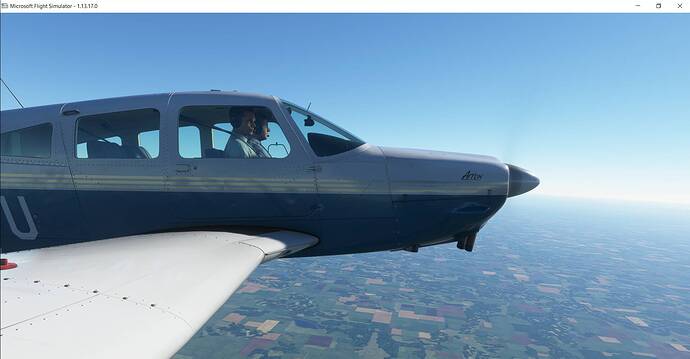 Microsoft Flight Simulator 3_5_2021 12_09_41 AM