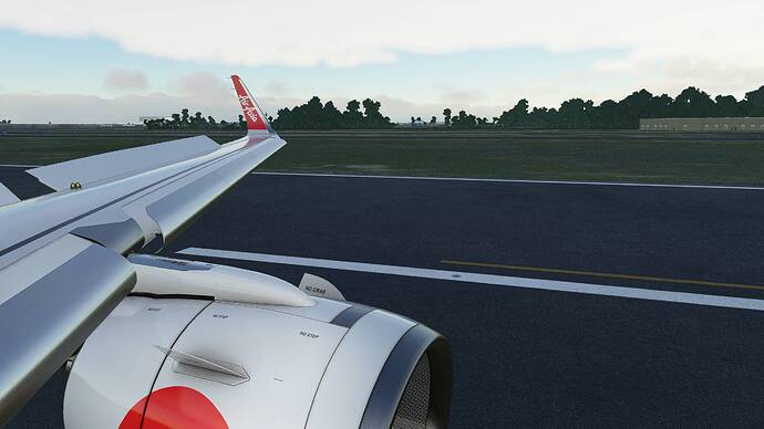 Microsoft Flight Simulator Screenshot 2021.03.07 - 18.56.30.77