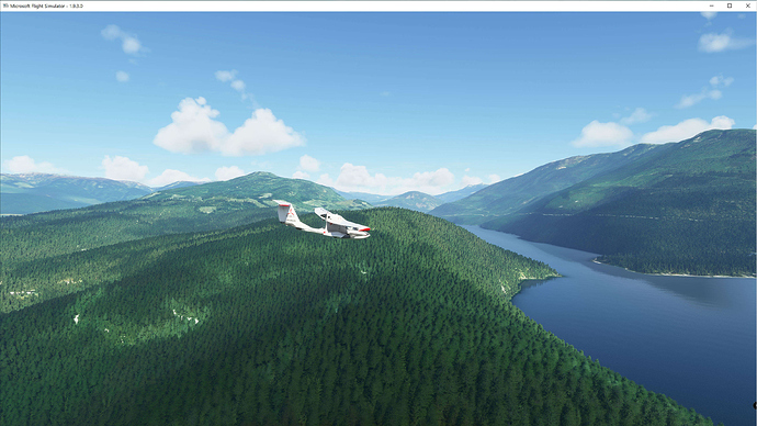 FS2020 2020-10-10 041