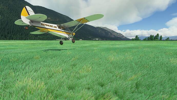 Screen Shot 03-27-21 at 11.16 PM