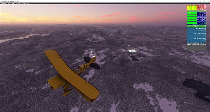 Microsoft Flight Simulator 12_28_2020 8_09_48 PM