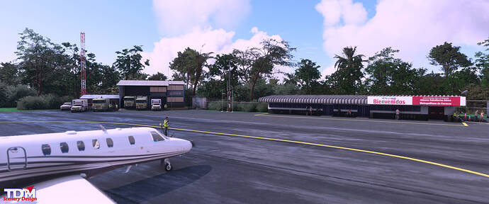 Microsoft Flight Simulator Screenshot 2021.02.01 - 11.08.57.17