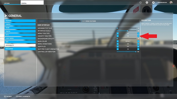 FlightSimulator_JAJJph7Jqv