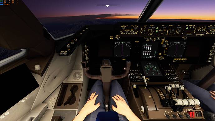 Microsoft Flight Simulator Screenshot 2020.12.29 - 22.18.42.17