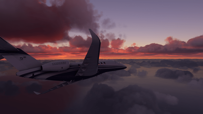 Screenshot Citation
