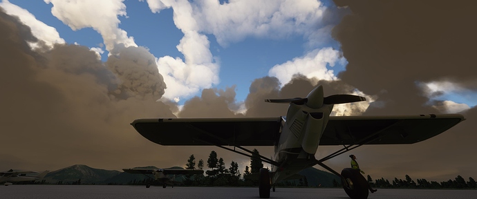 Microsoft Flight Simulator 11_8_2020 3_53_26 PM