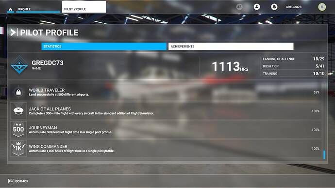 Microsoft Flight Simulator 23_02_2021 22_38_21