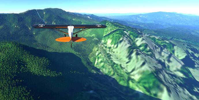 Microsoft Flight Simulator 14_11_2020 21_02_28 (2)