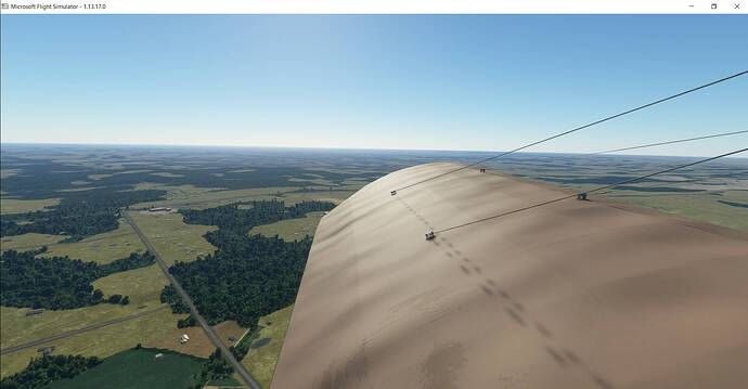 Microsoft Flight Simulator 3_4_2021 5_13_08 PM