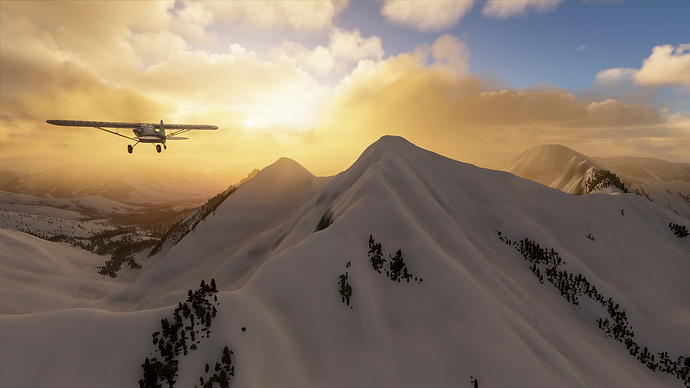 Microsoft Flight Simulator 2020 Idaho Bush Trip-28