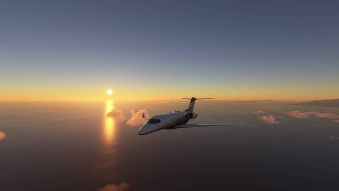 Microsoft Flight Simulator 11_17_2020 9_35_18 PM