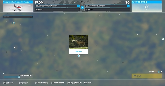 deer1