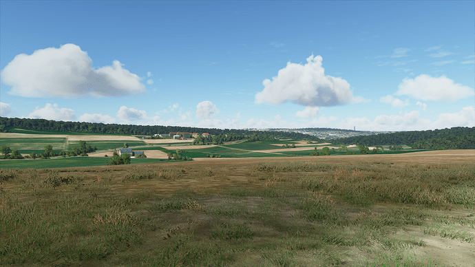 1250410_20200829191609_1