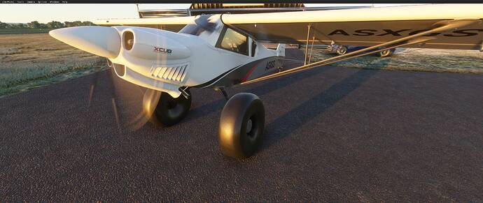 Microsoft Flight Simulator 12_28_2020 7_48_52 AM