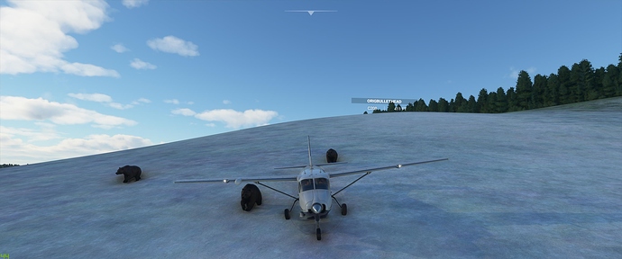 Microsoft Flight Simulator 10_24_2020 5_04_10 PM