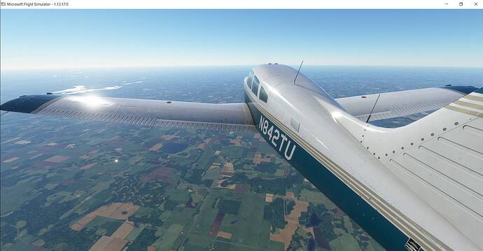 Microsoft Flight Simulator 3_5_2021 12_08_55 AM