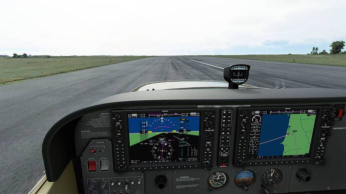 Microsoft Flight Simulator 2021-05-03 10_38_58