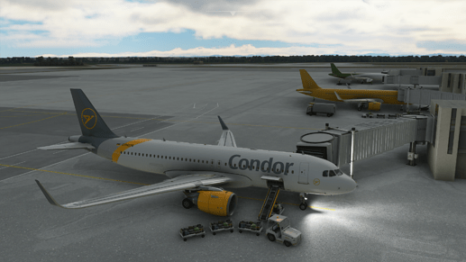 Microsoft Flight Simulator 25.08.2020 14_44_45