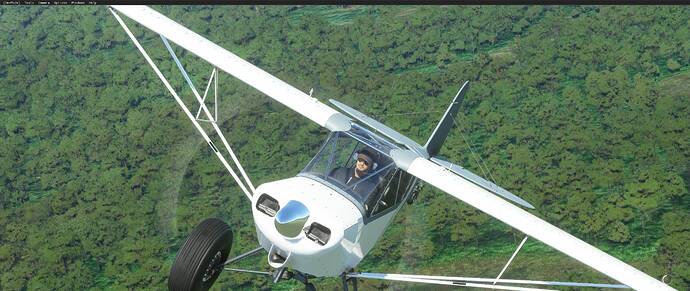 Microsoft Flight Simulator Screenshot 2021.02.08 - 14.45.53.05