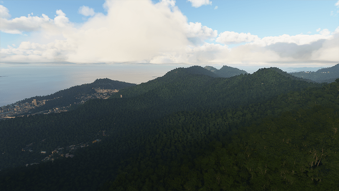 Microsoft Flight Simulator Screenshot 2020.08.20 - 09.57.18.25
