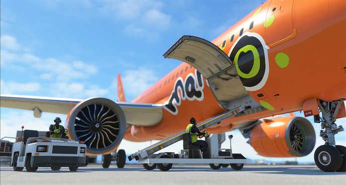 Microsoft Flight Simulator 10_11_2020 11_13_18 AM