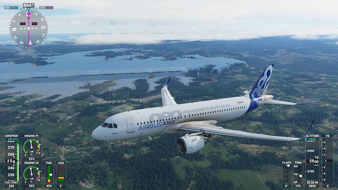 Microsoft Flight Simulator 24_01_2021 20_49_17