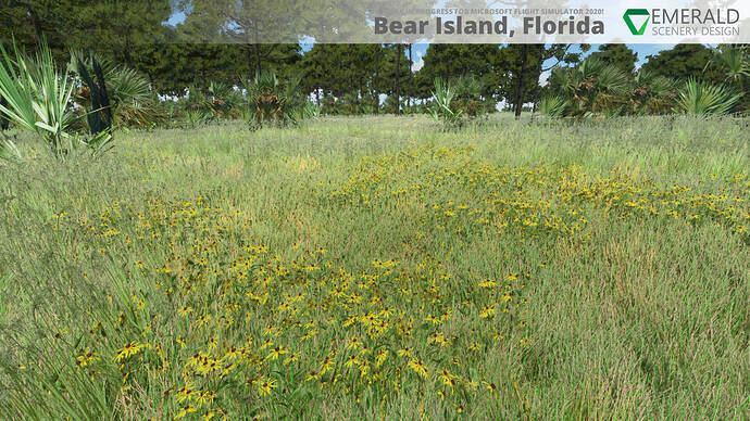 bear_island_florida_msfs_wip_2