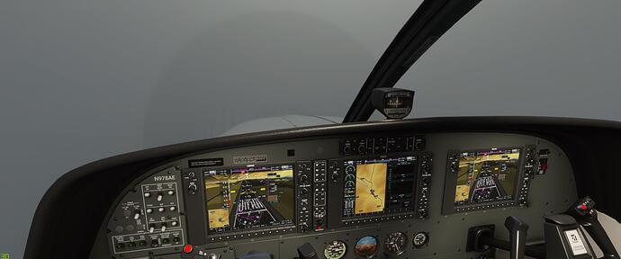 Microsoft Flight Simulator 12_4_2020 9_33_42 PM