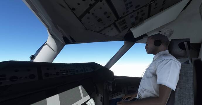 Microsoft Flight Simulator Screenshot 2021.01.17 - 13.30.50.79