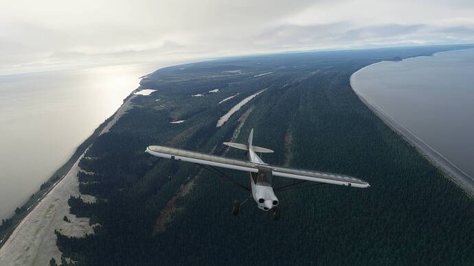 Microsoft Flight Simulator Screenshot 2021.01.31 - 19.44.33.34