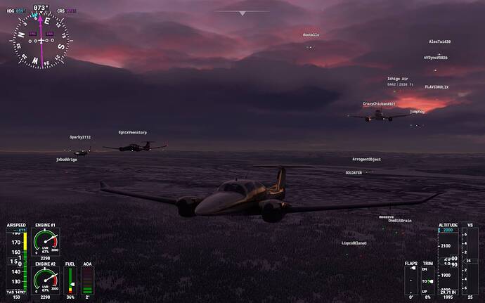 Microsoft Flight Simulator 14_02_2021 21_55_26