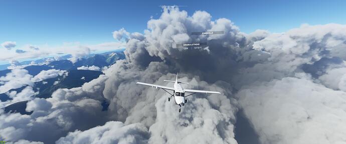 Microsoft Flight Simulator 12_4_2020 9_20_00 PM
