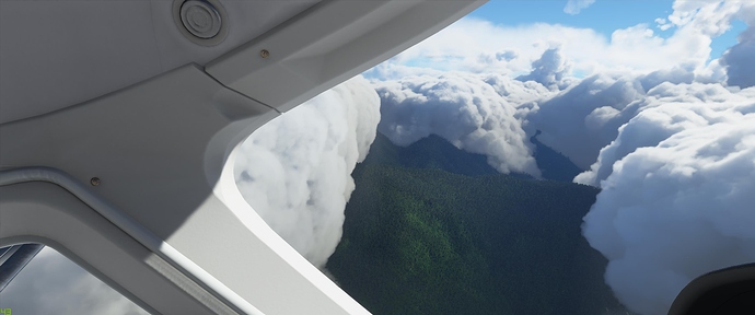 Microsoft Flight Simulator 10_24_2020 4_29_03 PM