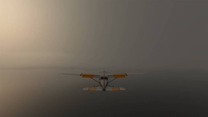 Microsoft Flight Simulator 2021-05-03 18_14_40