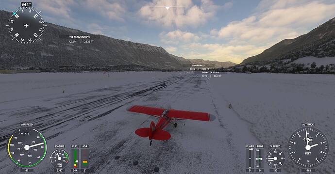 Microsoft Flight Simulator Screenshot 2021.01.08 - 21.12.23.24