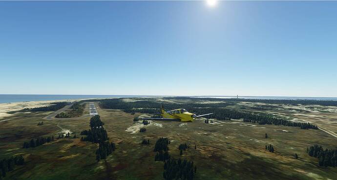 Microsoft Flight Simulator 4_20_2021 8_39_36 AM
